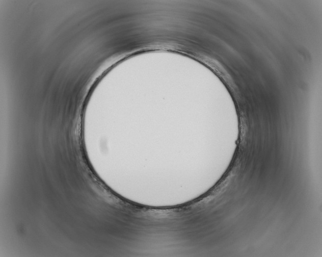 X0000112761044200910011211