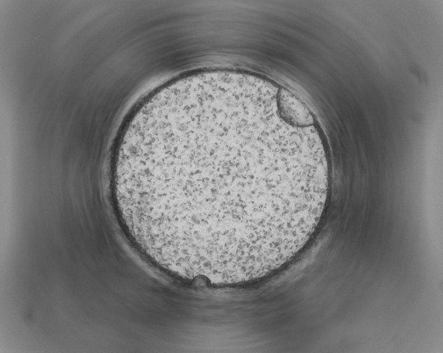 X0000112761045200910011211