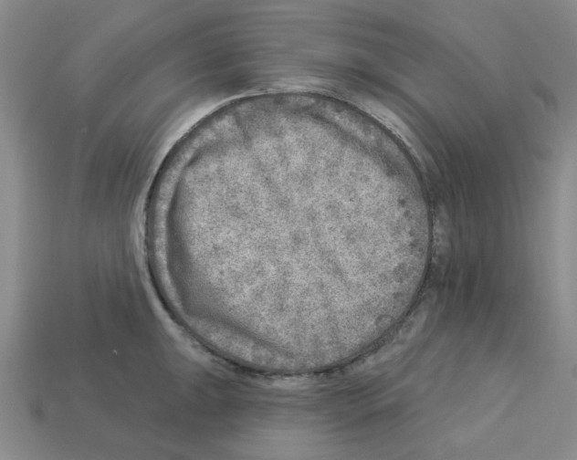 X0000112761047200910011211