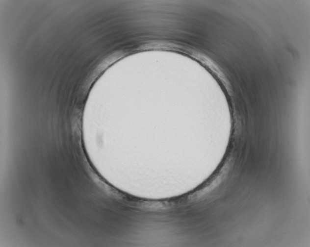 X0000112761049200910011211