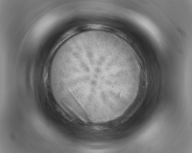 X0000112761052200910011211