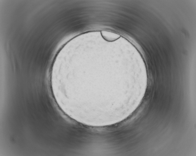 X0000112761053200910011211
