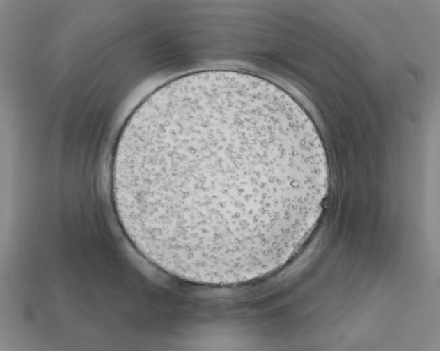 X0000112761054200910011211