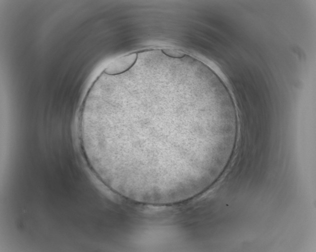 X0000112761056200910011212