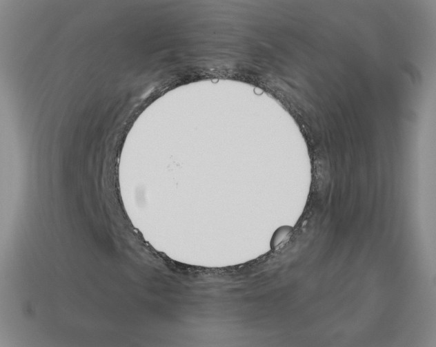 X0000112761057200910011211
