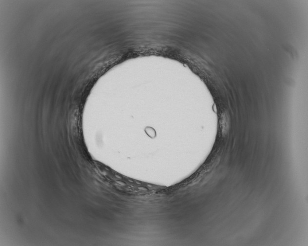 X0000112761059200910011211