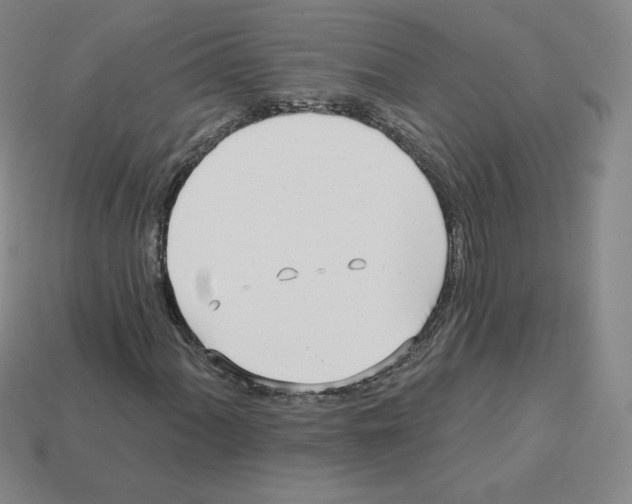 X0000112761060200910011211