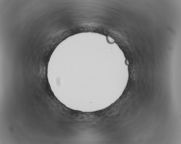 X0000112761061200910011211