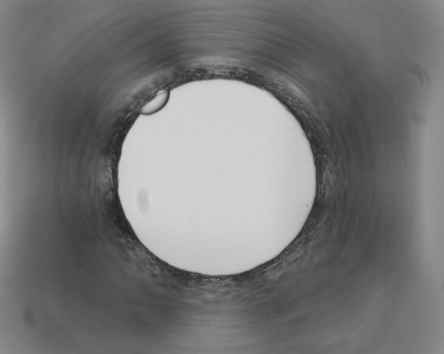 X0000112761062200910011211