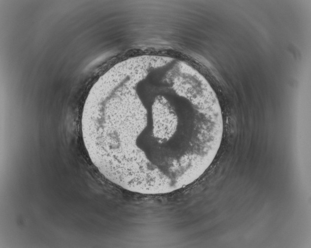 X0000112761063200910011211