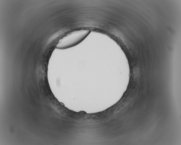 X0000112761064200910011211