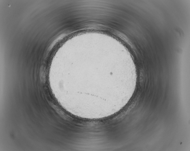 X0000112761067200910011211