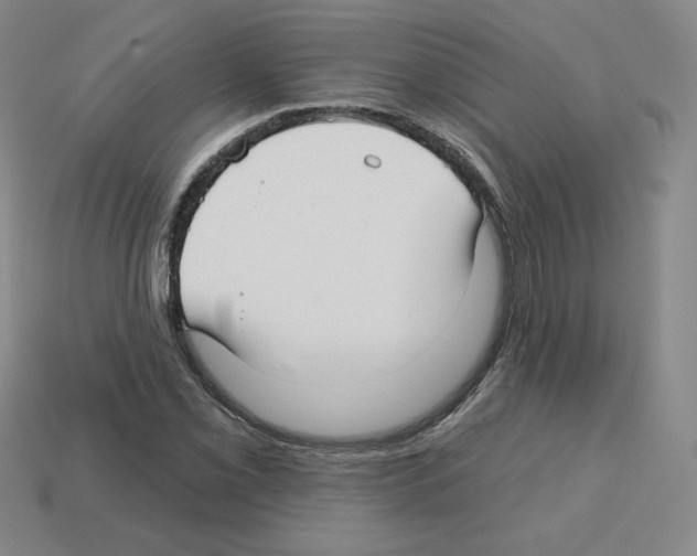 X0000112761069200910011211