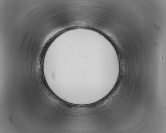 X0000112761070200910011211