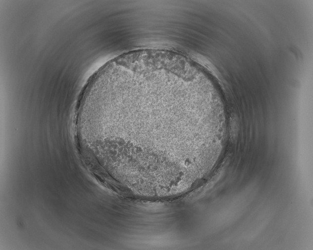 X0000112761071200910011211