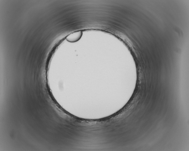 X0000112761072200910011211