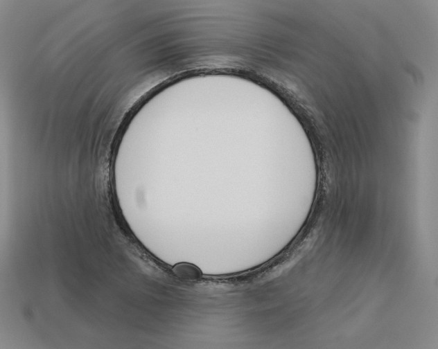 X0000112761073200910011211