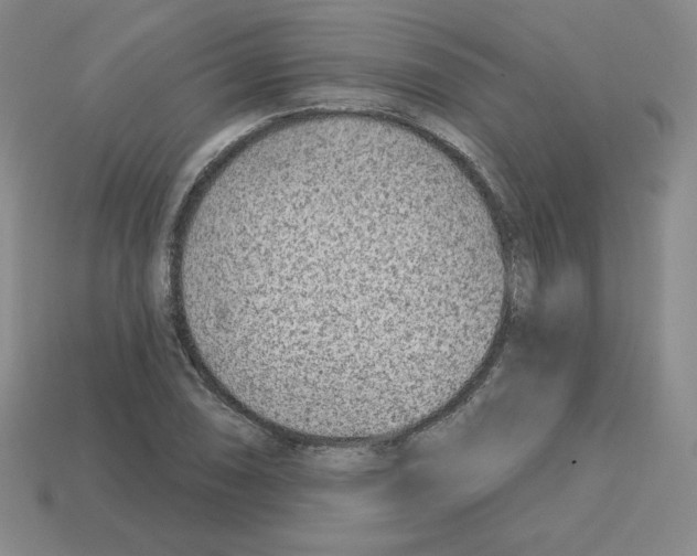 X0000112761074200910011211