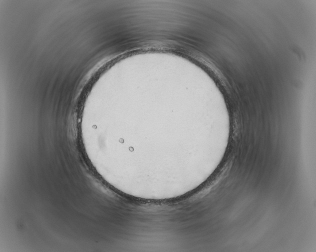 X0000112761075200910011211