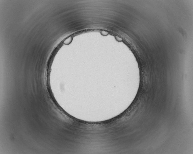 X0000112761076200910011211