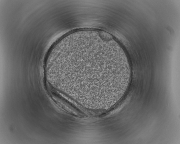 X0000112761077200910011211