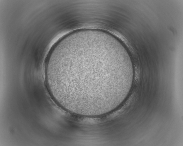 X0000112761078200910011211