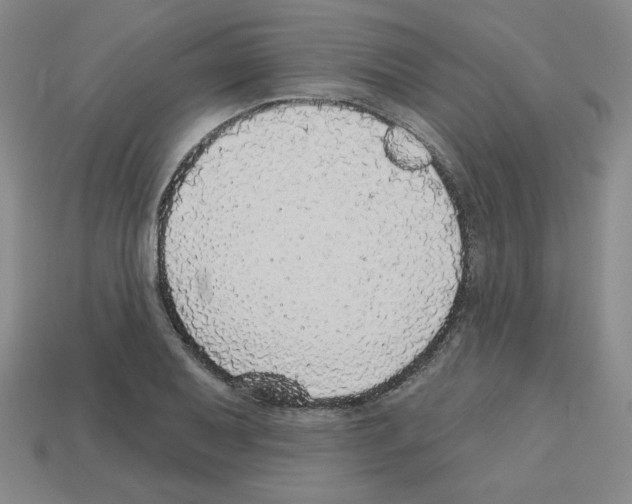 X0000112761079200910011211