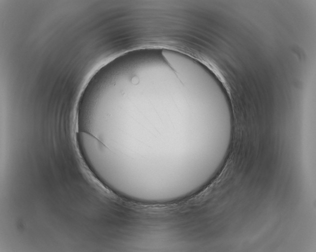 X0000112761080200910011210