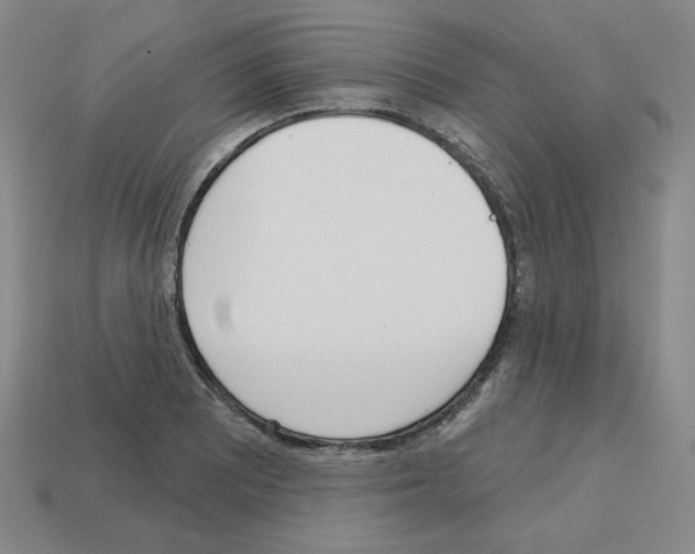 X0000112761081200910011210