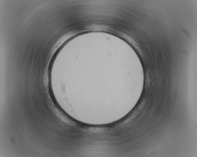 X0000112761082200910011210