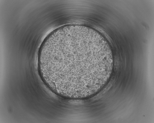 X0000112761083200910011210