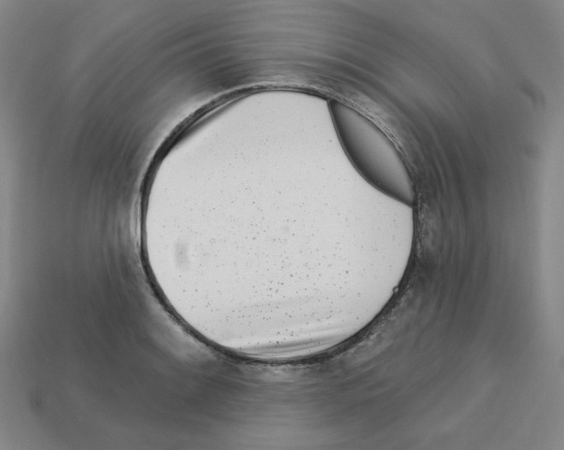 X0000112761084200910011210