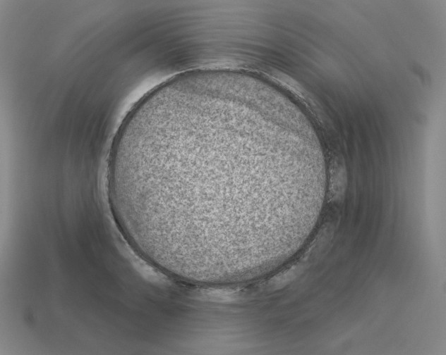 X0000112761086200910011210