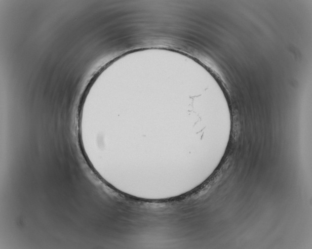 X0000112761088200910011210