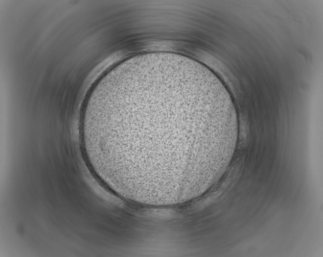 X0000112761090200910011210
