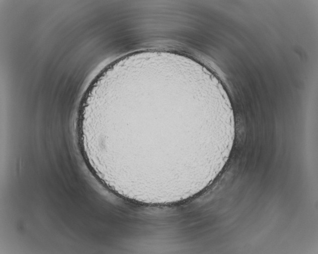 X0000112761091200910011210