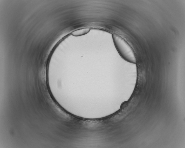 X0000112761092200910011210