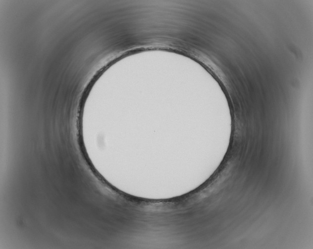X0000112761093200910011210