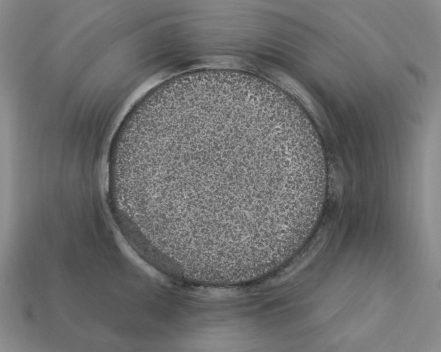 X0000112761095200910011210
