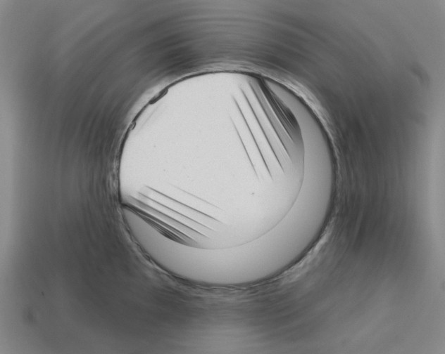 X0000112761097200910011210