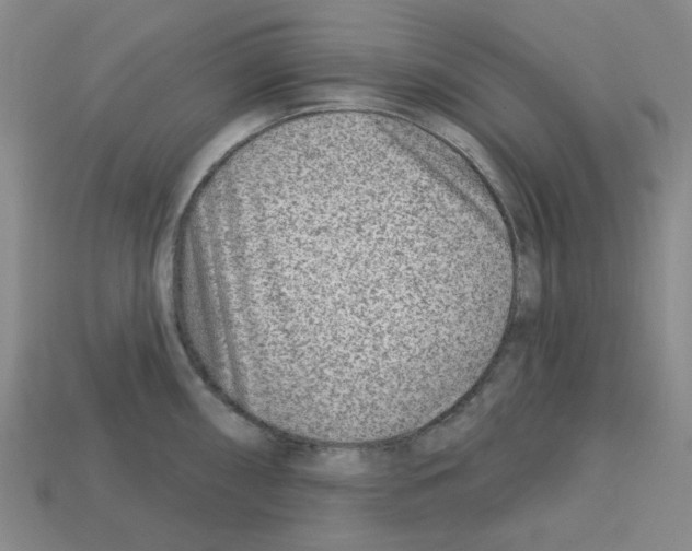 X0000112761098200910011210