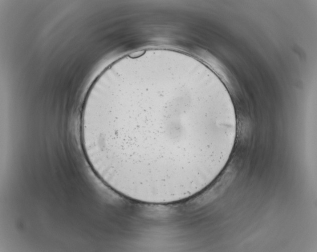 X0000112761100200910011210