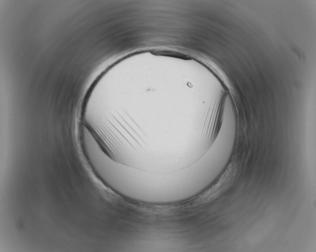 X0000112761101200910011210