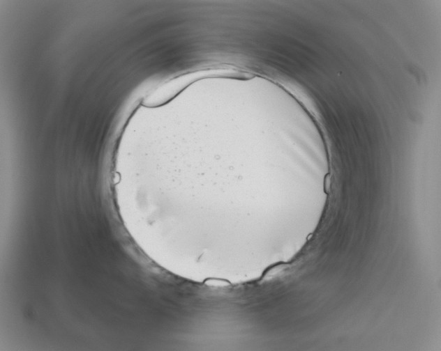 X0000112761104200910011210