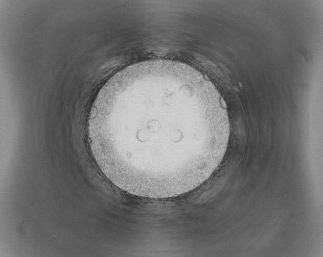 X0000112761105200910011209