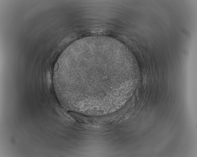 X0000112761106200910011210