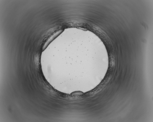 X0000112761108200910011210