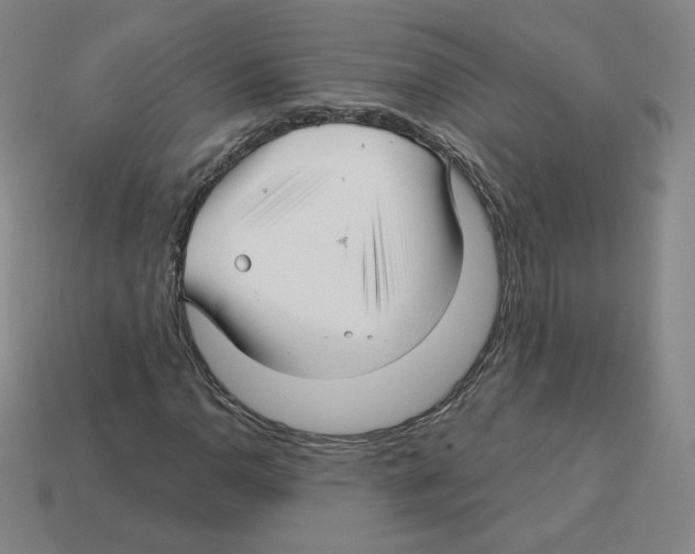 X0000112761110200910011210