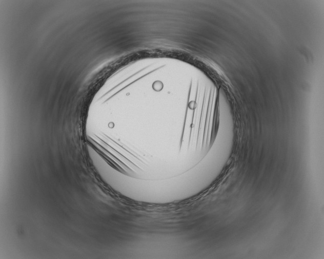 X0000112761112200910011210