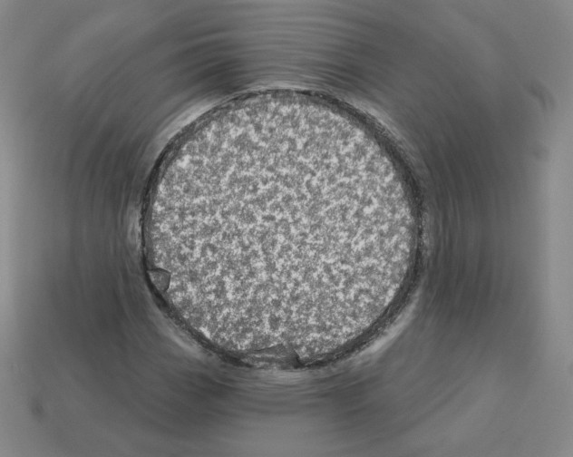 X0000112761113200910011210